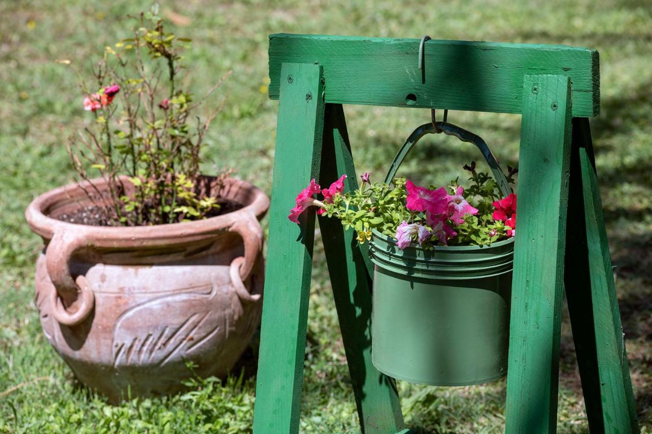 Cottoni Natural Space Valtopina Ngoại thất bức ảnh